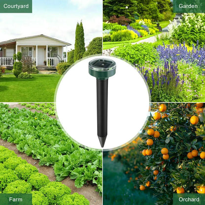 CampSafe™ Solar Perimeter Repellers (4-Pack)